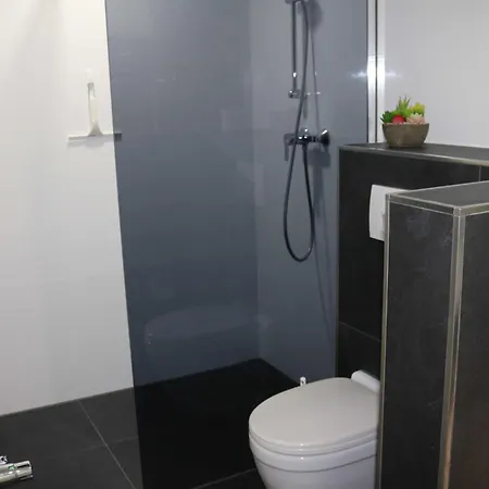 Zum Schwandter Apartment